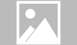 金助理  漫画,职场智慧与生活趣事